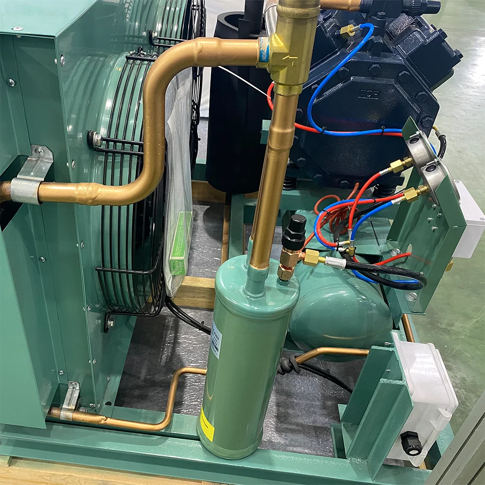 Compresor de refrigeración industrial de alta calidad - imagen 4