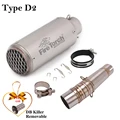 Type D2