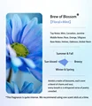 Brew of Blossom