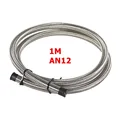 Silver AN12