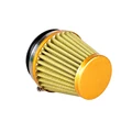 Gold 58-60mm