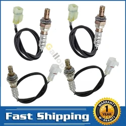 Kit 4 sondas lambda Suzuki Grand Vitara y Chevrolet Tracker 2.5L
