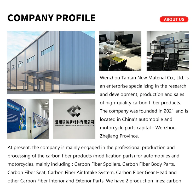 alerón trasero de fibra de carbono