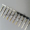 10pcs male