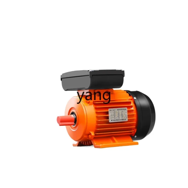 Motor Horizontal Monofásico Asíncrono CX - imagen 2