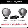AMP
