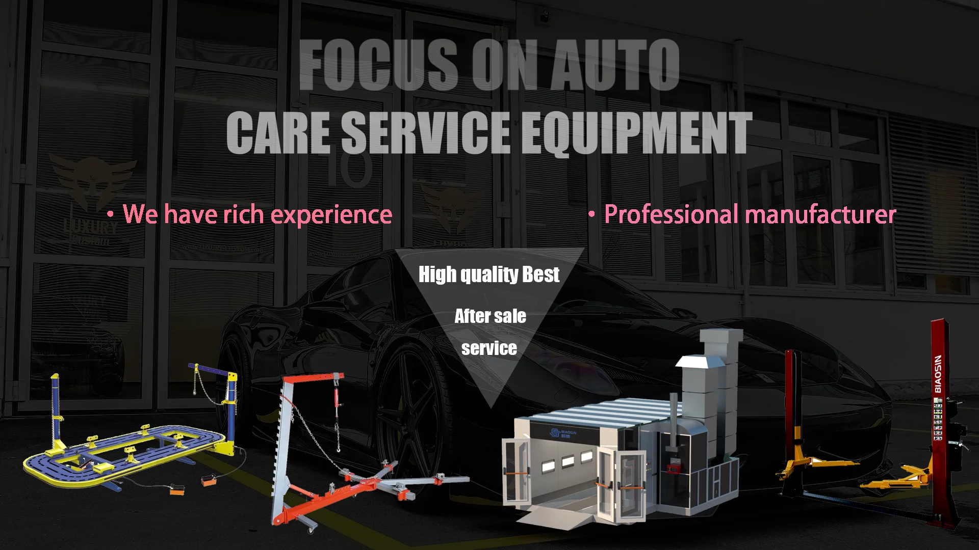 Perfil bajo del gato