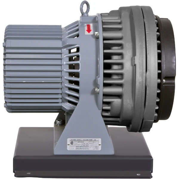 Detalle de la conexión de entrada y salida