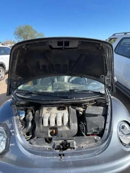 Puntales de gas capó delantero para Volkswagen Beetle 1998-2010