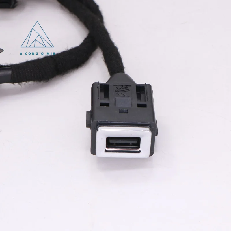 Cable extensor USB original para Peugeot, Citroën y DS NAC/RCC IVI - imagen 2