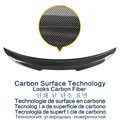 Carbon Painting