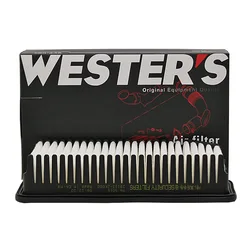 Filtro de aire WESTGUARD C26014 para Hyundai i20 1.4 1.6