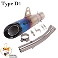 Type D1