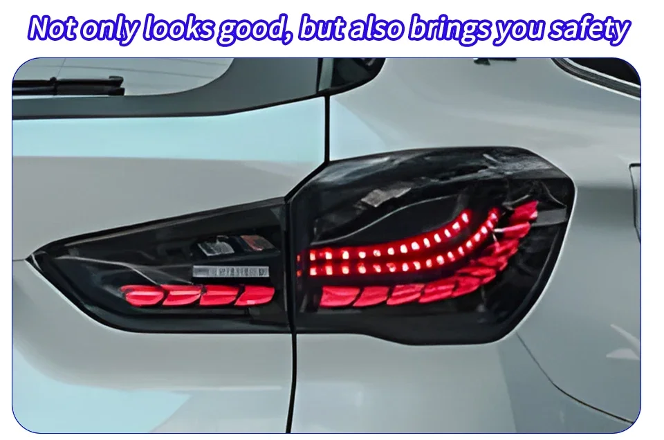 Luces LED Dragon Scale para BMW X1