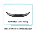 F32 PSM Carbon