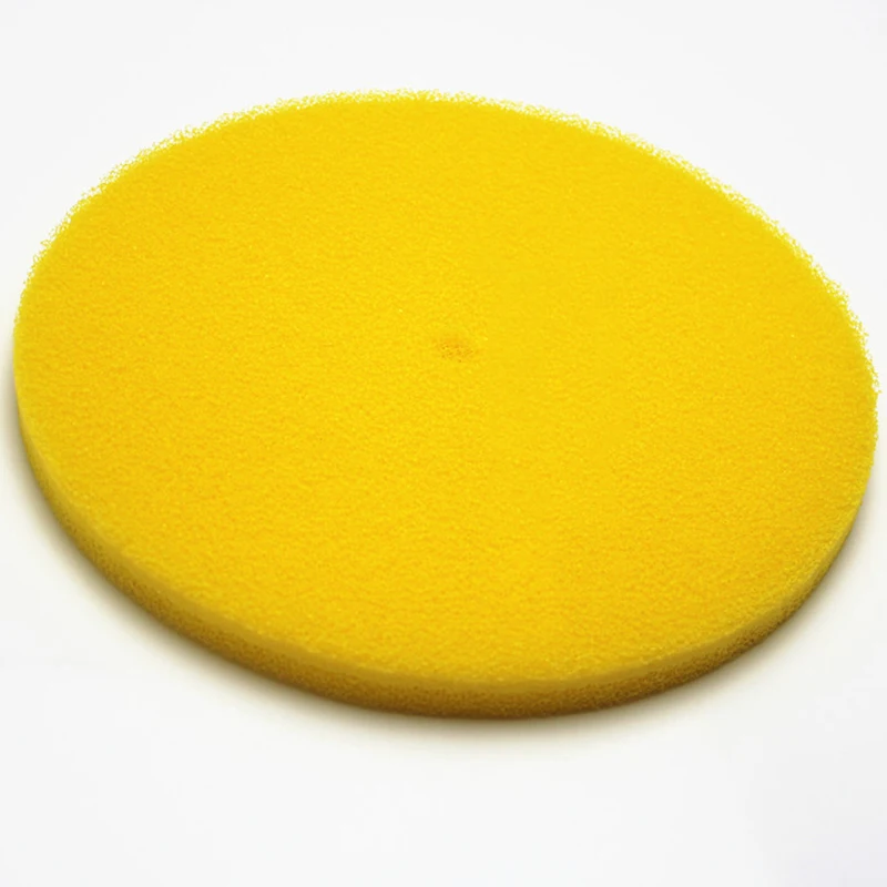 Corte transversal de la esponja