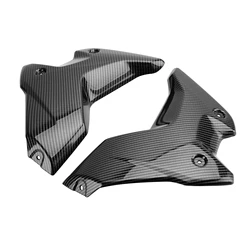 Cubierta lateral de radiador de carbono para BMW R 1250 GS