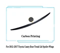 Trunk Carbon Look