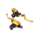 1 pair Gold