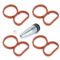 plug and gasket