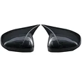 Carbon Fiber