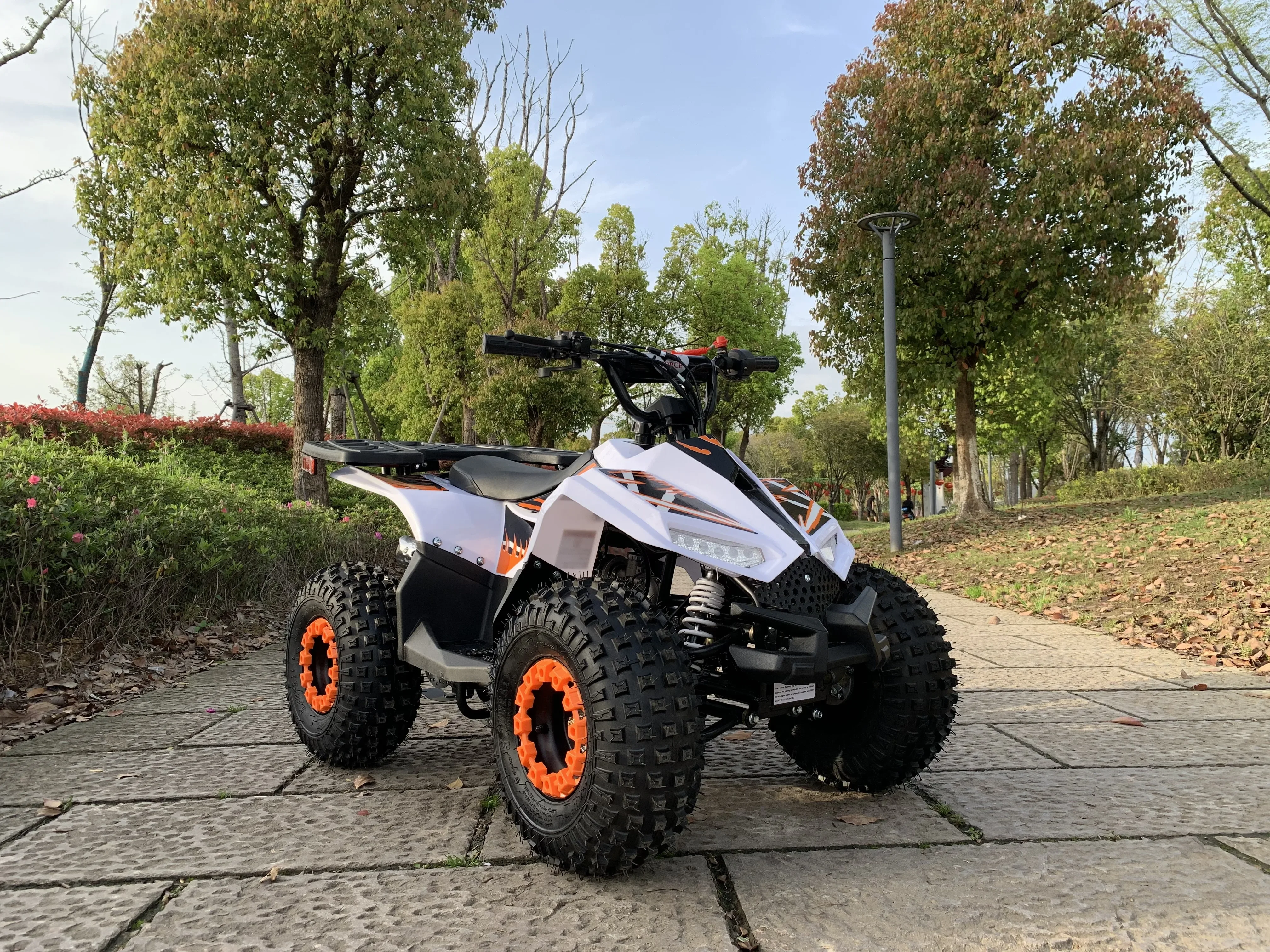 Quades ATV a gasolina de 110 cc para niños - imagen 2