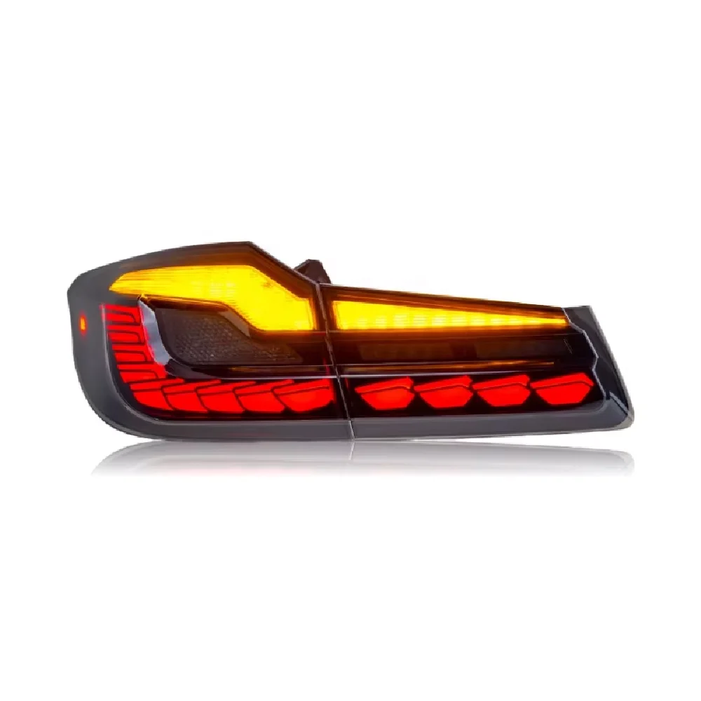 Auto-y Piloto trasero LED escala dragón para BMW Serie 5 G30 G38 - imagen 2