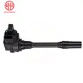 x1 Ignition Coil