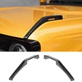 1 Pair Carbon fiber