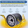 Oil Filter