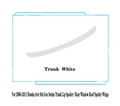 Trunk White