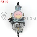 PZ30 transparent