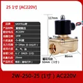 25 1 inch AC220V