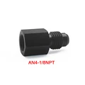 1-8NPT to 4AN