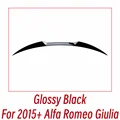 Glossy Black