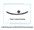 Trunk Carbon Look