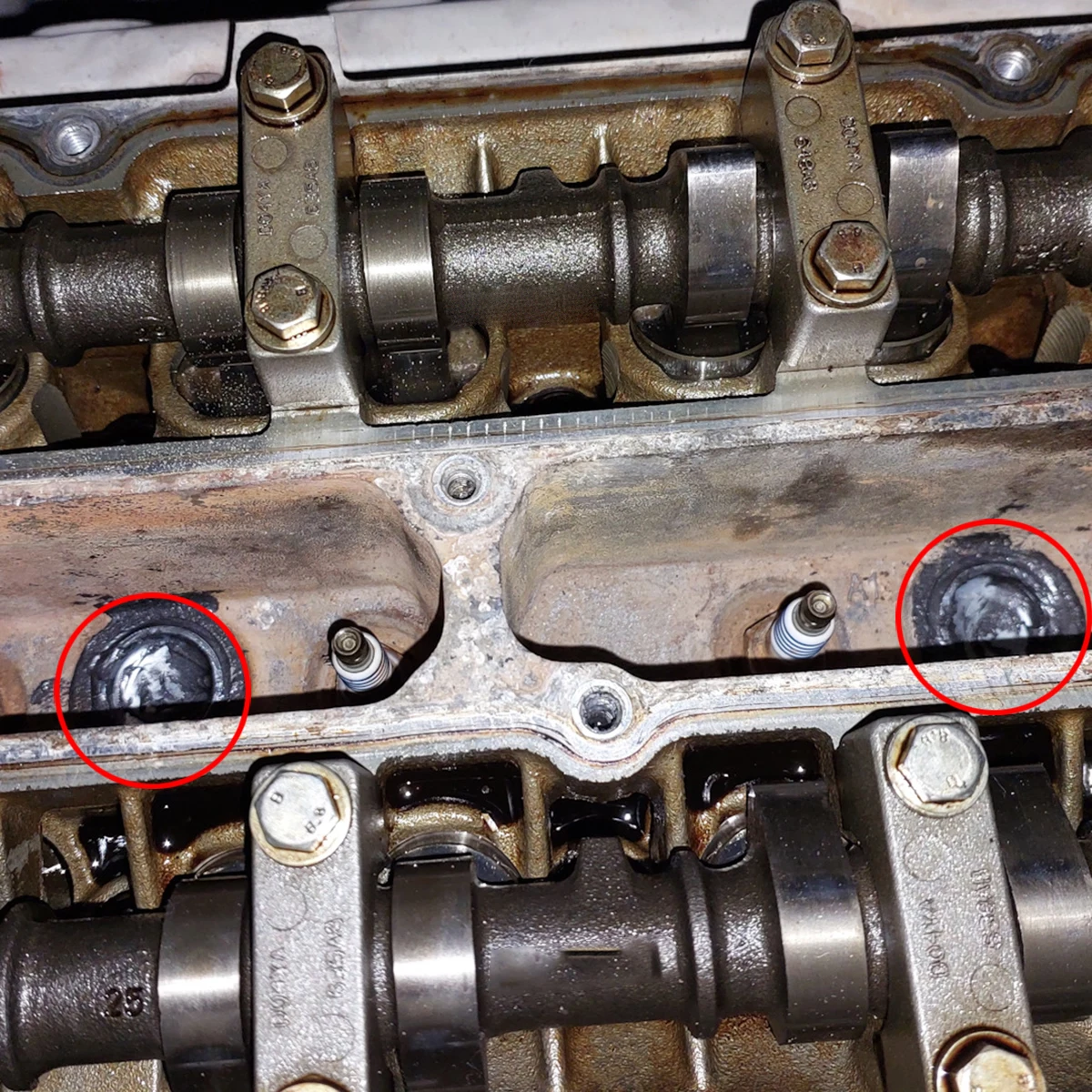 Tapón de congelación motor universal zincado Welch - imagen 4