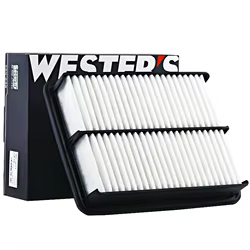 Filtro de aire MANN C25118/1 para Peugeot 307/308 y Citroën C4 1.8