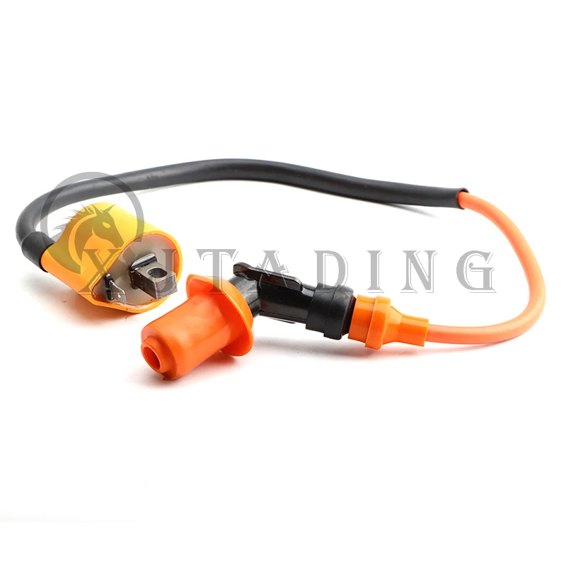 Detalle del cable y conector de la bobina