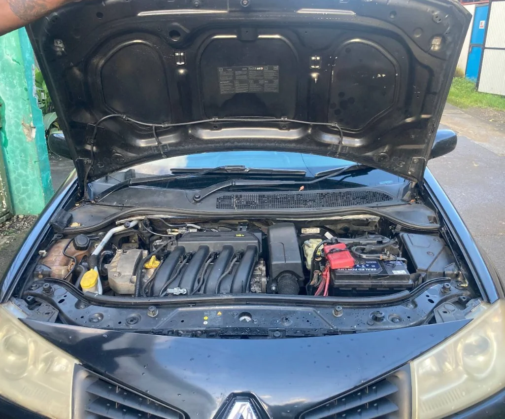 Amortiguadores de gas capó Renault Mégane II 2002-2009