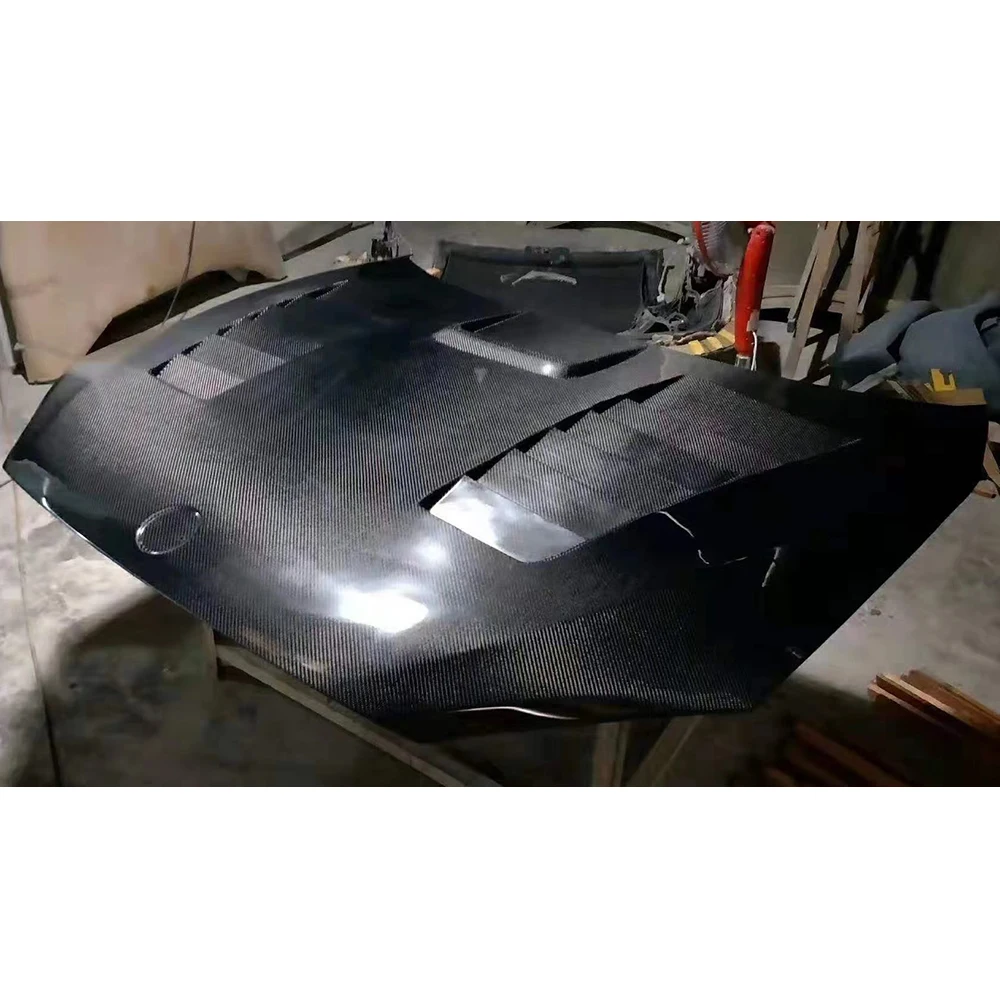 Capó fibra de carbono BMW X1 E84 2015 para tuning