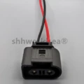 1pcs