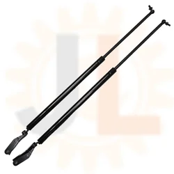 Puntales de maletero a gas Nissan Elgrand E50 1997-2002