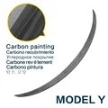 Y Carbon Paint A