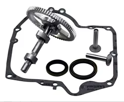 Briggs & Stratton Kit de juntas para árbol de levas