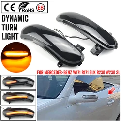 Intermitente LED dinámico de retrovisor Mercedes-Benz SLK R171
