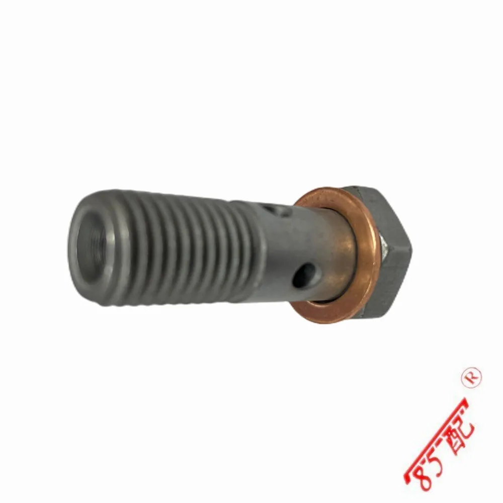 Tornillo hueco tubo lubricación turbo Peugeot 207, 208 y 308 - imagen 2
