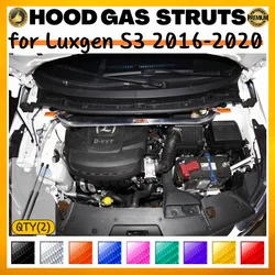Puntales de capó Luxgen S3 2016-2020 – Kit soportes apertura