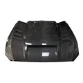 Carbon fiber
