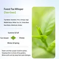 Forest Tea Whisper